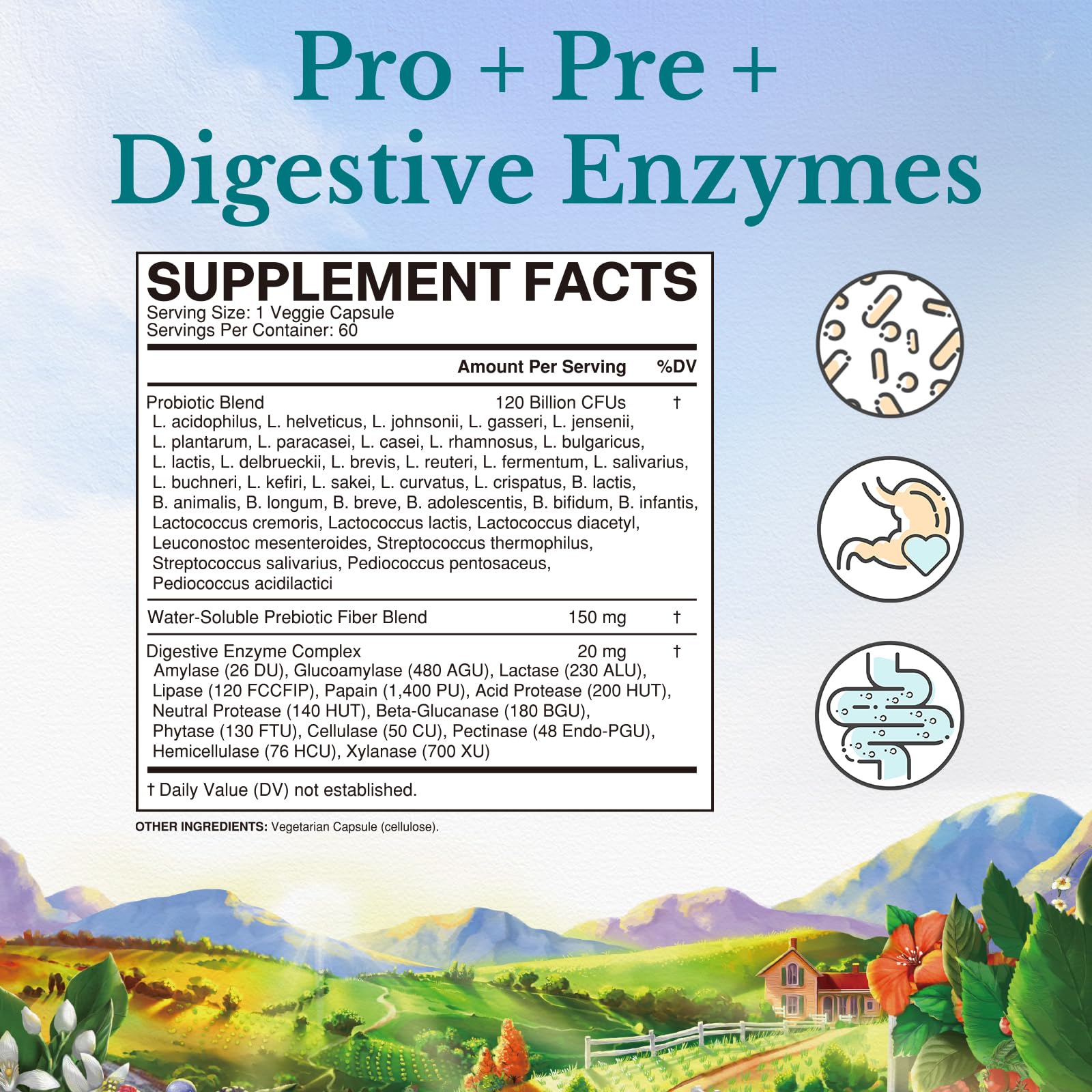 Probiotic with prebiotics and digestive enzymes illustration