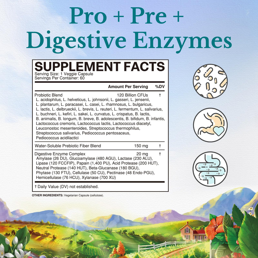 Probiotic with prebiotics and digestive enzymes illustration