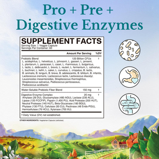 Probiotic with prebiotics and digestive enzymes illustration