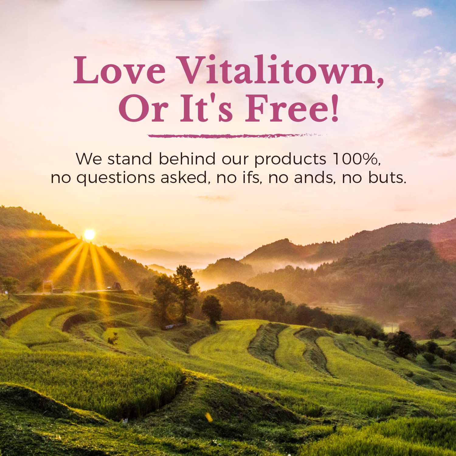 Gut and vaginal health benefits of Vitalitown Women Probiotics