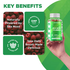 Ingredients panel showing bladderwrack and burdock root