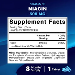 Niacin 500mg sustained release tablet close-up
