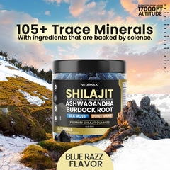 Vitamax gummies ingredients include Ashwagandha, Sea Moss, and Lions Mane for wellness.