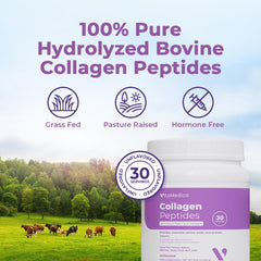 Unflavored VitaMedica collagen powder in a soup bowl for warm meals