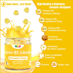 Illustration of synergistic formula with riboflavin, turmeric, B6, and B12