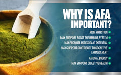Vitamisan brand logo with Super Green Formula text