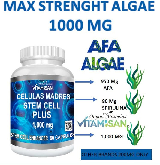 Close-up of AFA blue-green algae capsules