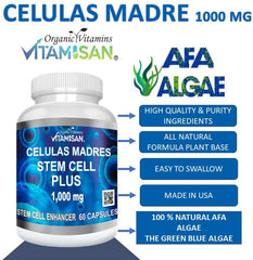 Graphic showing daily dosage of 1 to 2 capsules