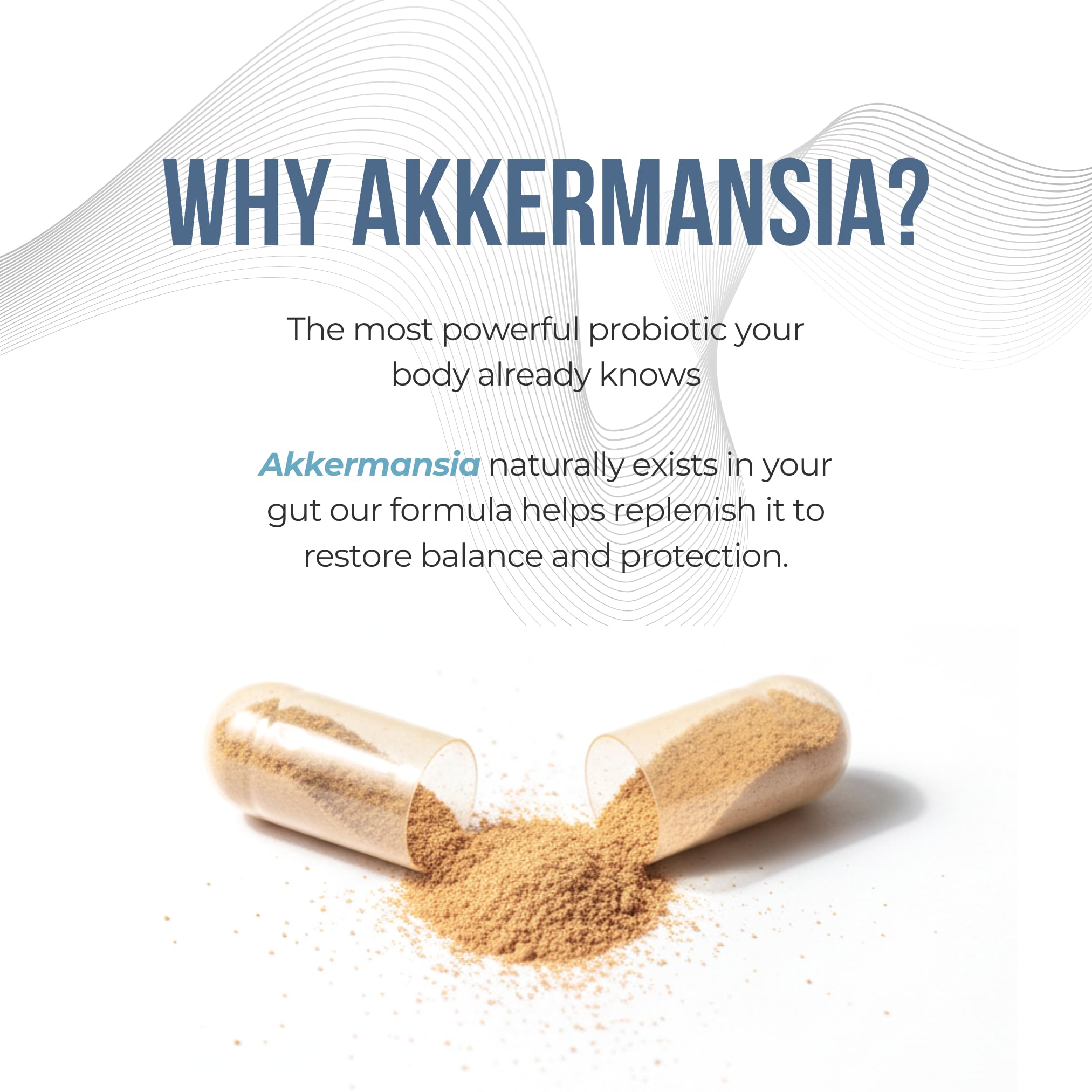 Digestive enzymes aiding digestion in Vitamo formula