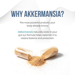 Digestive enzymes aiding digestion in Vitamo formula