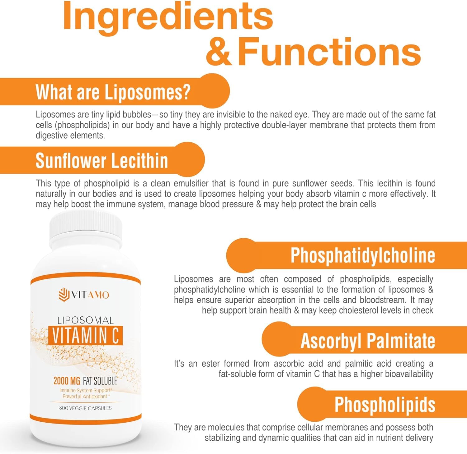 Vitamo label detail showing USA-made, non-GMO formulation and soy-free ingredients.