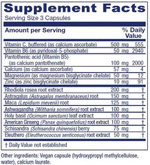 Adaptogenic herbs for stress support: Eleutherococcus, American ginseng, Rhodiola, Ashwagandha