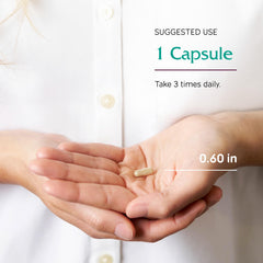 Capsules for brain health and blood flow with Ginkgo
