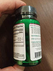 Green Tea polyphenols 98% close-up
