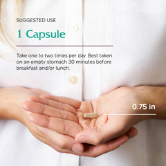 Healthy lifestyle imagery with capsules and plant roots