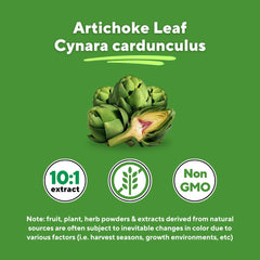Vitapia Liver support and digestive health with artichoke extract