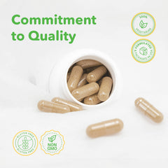 VITASUPPORTMD Capsules taken with a meal showing daily dosage