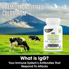 Healthy lifestyle concept with colostrum supplement