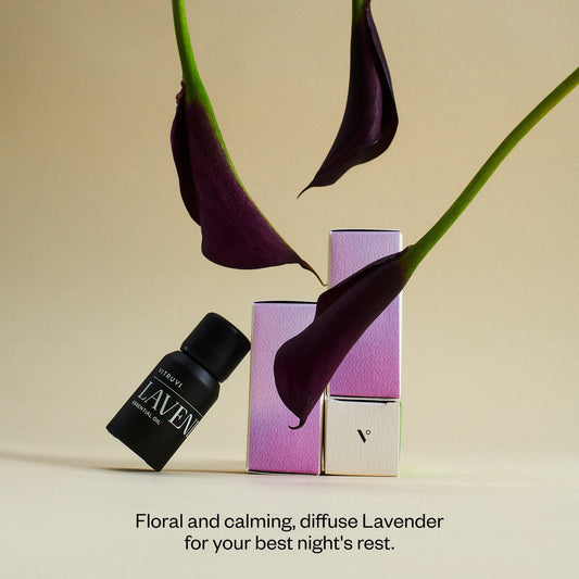 Close-up of French lavender in high Alpine fields