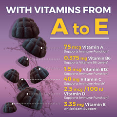 Vitamin C and Zinc icons highlighting immune support