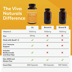 Citrus fruits representing antioxidant support