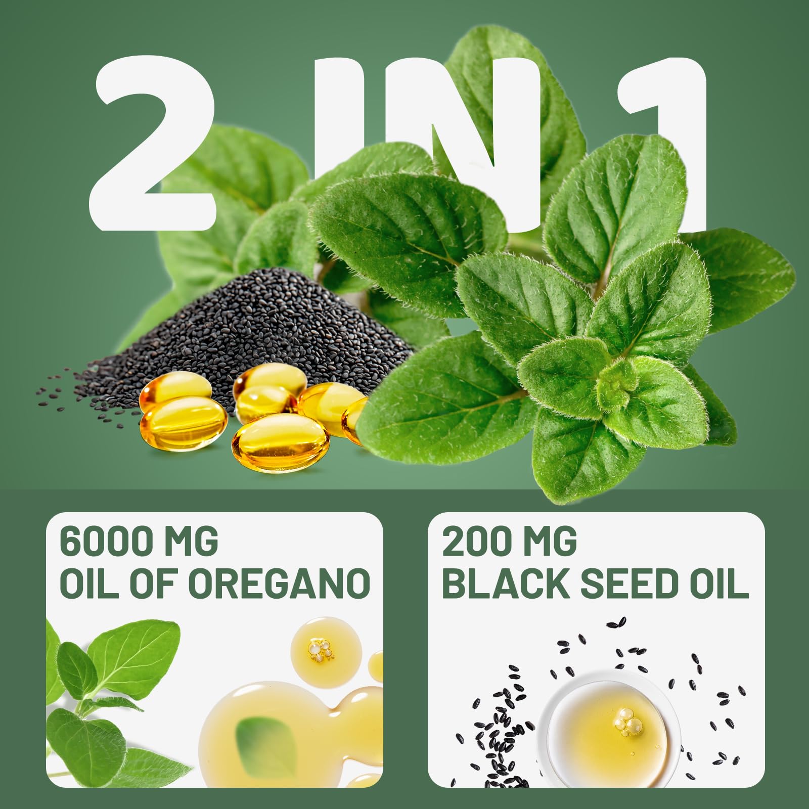 Illustration showing oregano oil and black seed oil ingredients