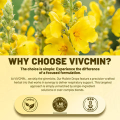 1 ml daily serving of Mullein Drops for wellness