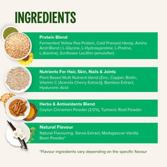 Hero image of Vivo Life Plant Protein Collagen Builder Chocolate Mint