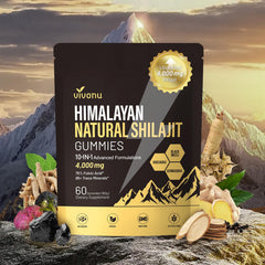 VivoNu Shilajit Gummies bottle front view