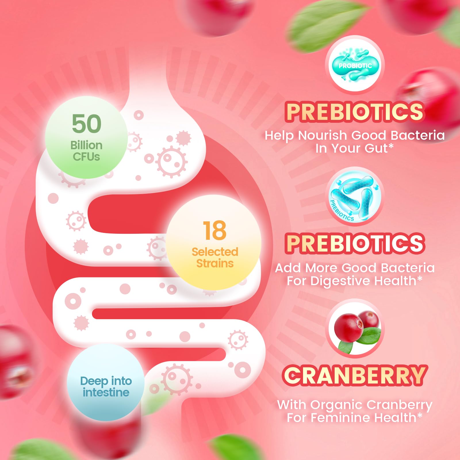 Close-up of VivoNu Viginal Probiotic gummies emphasizes soft texture and bite-sized ease