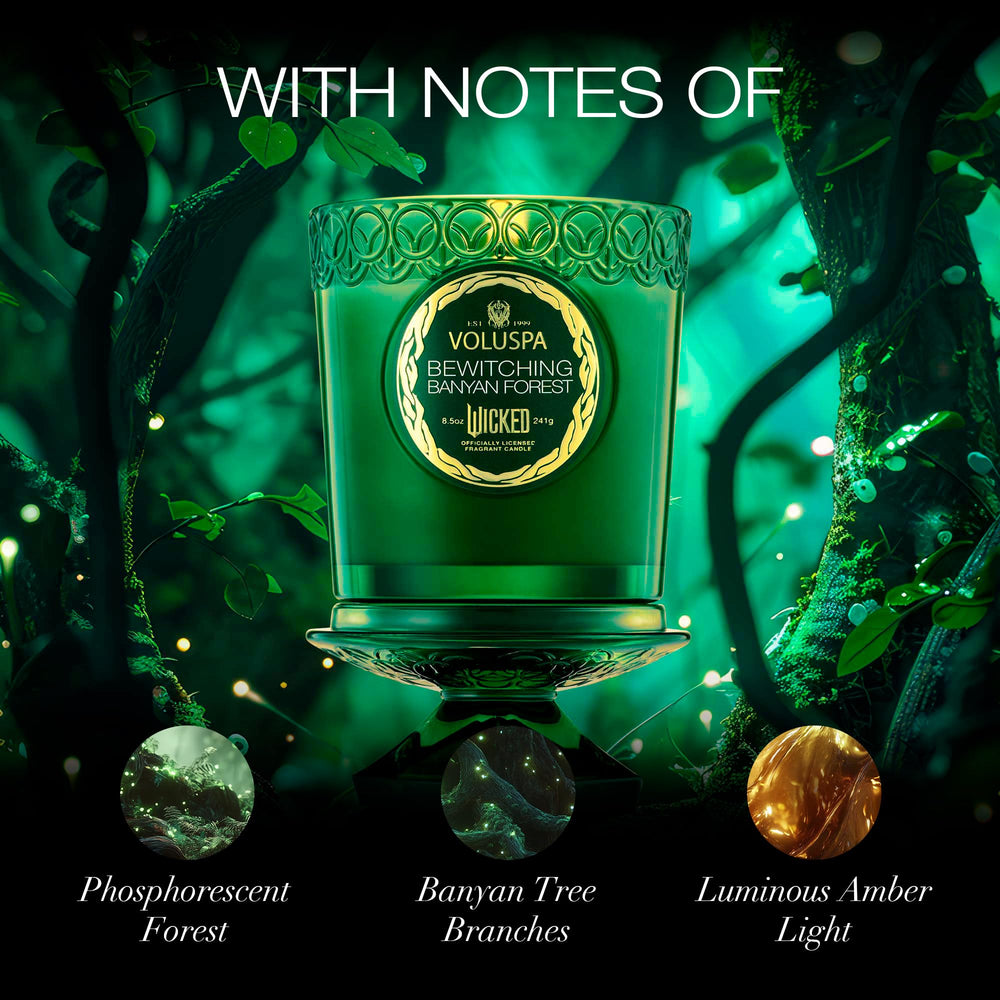 Fragrance notes graphic featuring Phosphorescent Forest, Banyan Tree, Luminous Amber Light