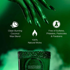 Luxurious packaging for Voluspa Wicked Collection Elphaba candle