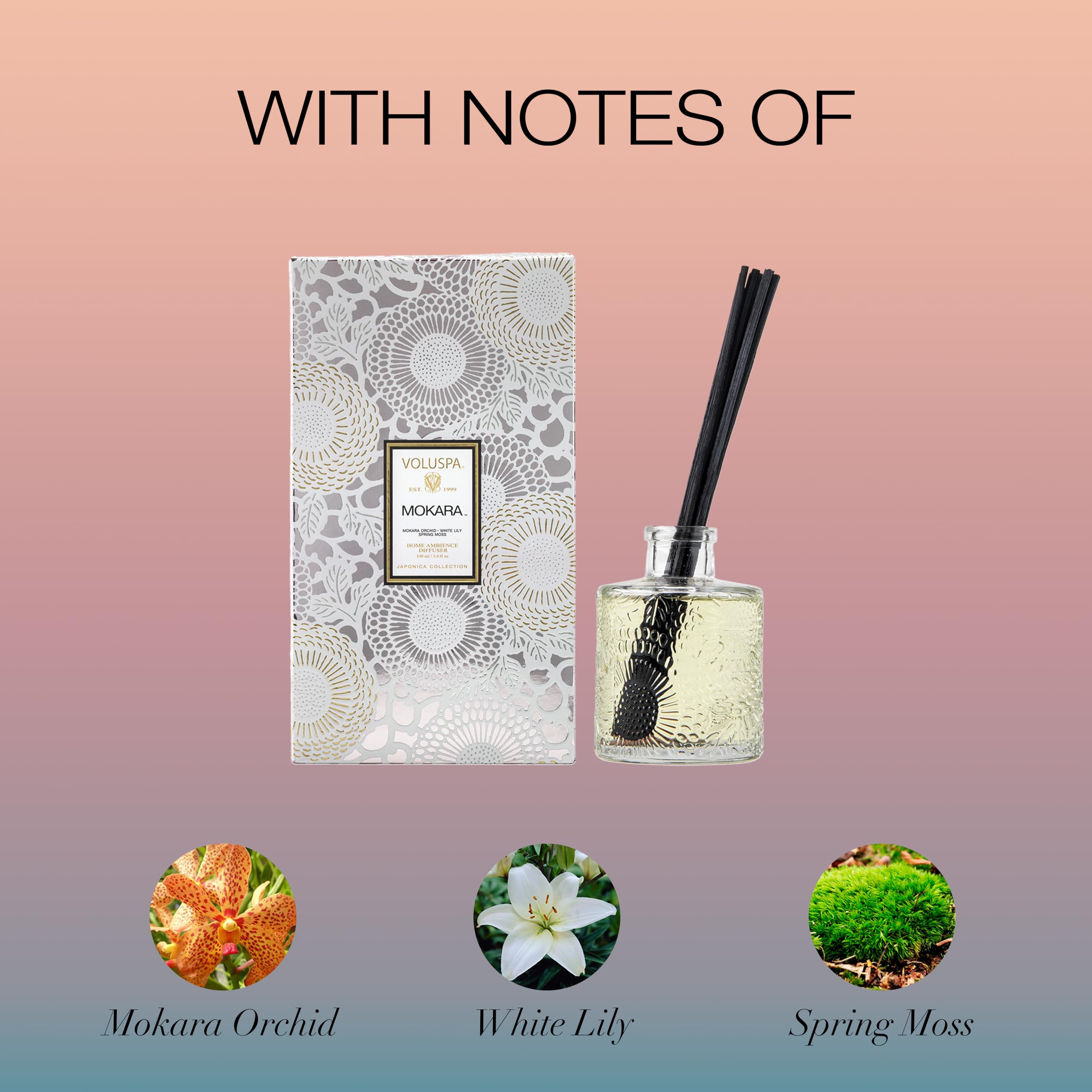 Reed diffuser sticks inserted in glass vessel