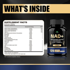 Infographic layout of NAD supplement benefits and ingredients