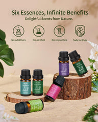 Eucalyptus essential oil bottle from VTS 6x10ml set