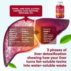 Sugar-free 26-in-1 liver detox gummies ingredients label