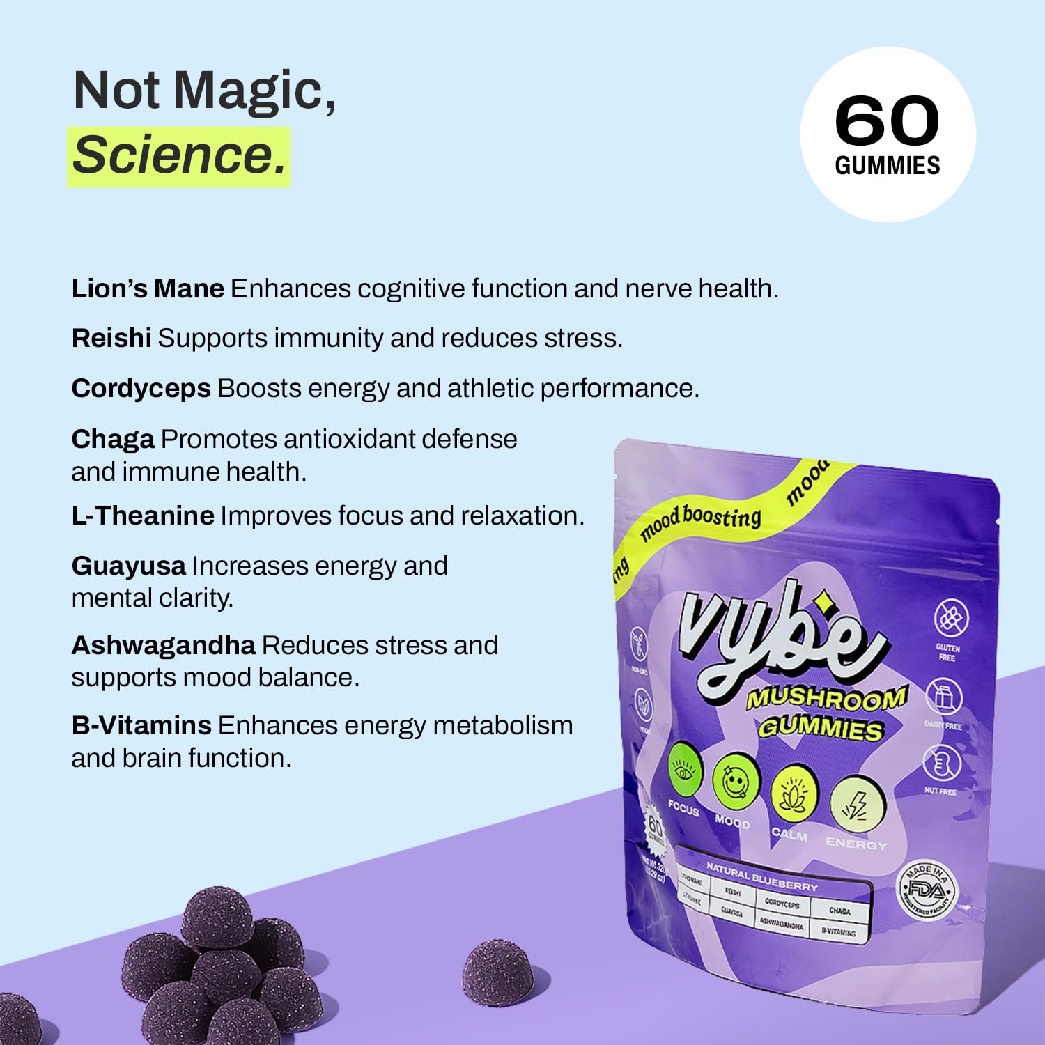 Illustration of Reishi, Chaga and Ashwagandha ingredients for Vybe Gummies