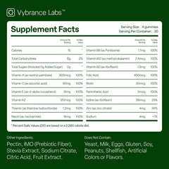 VYBRANCE LABS Daily Greens Gummies travel pack demonstrates 30 day supply on the go.