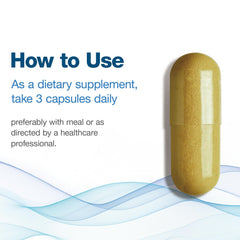 Box and bottle of WACHRAY Berberine Supplement with 90 capsules
