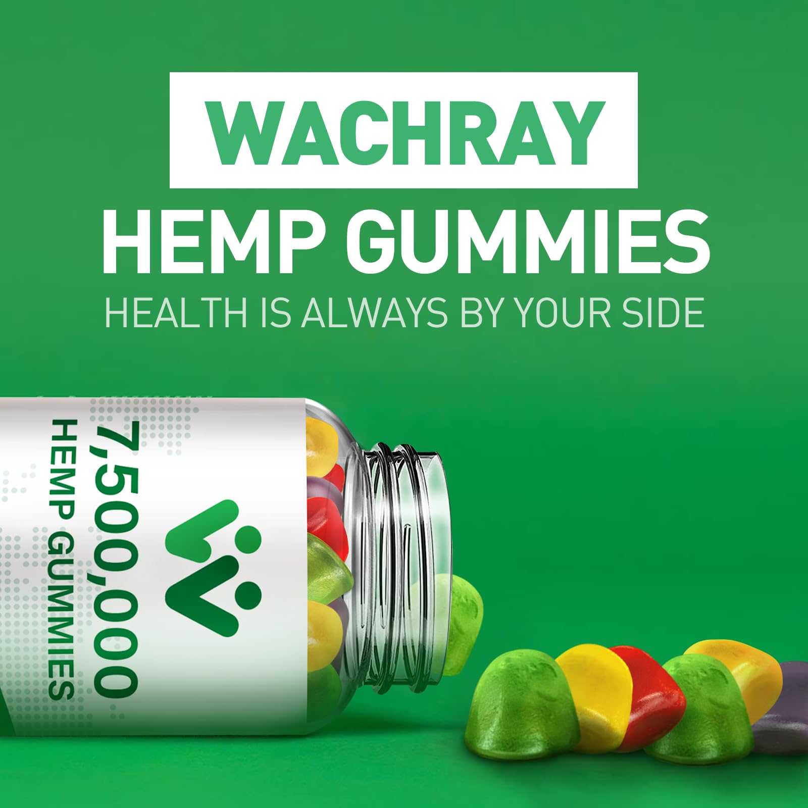 WACHRAY Nutrition GMP facility icon illustrating quality control.