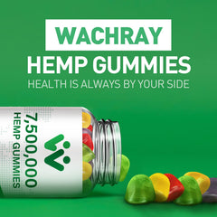 WACHRAY Nutrition GMP facility icon illustrating quality control.