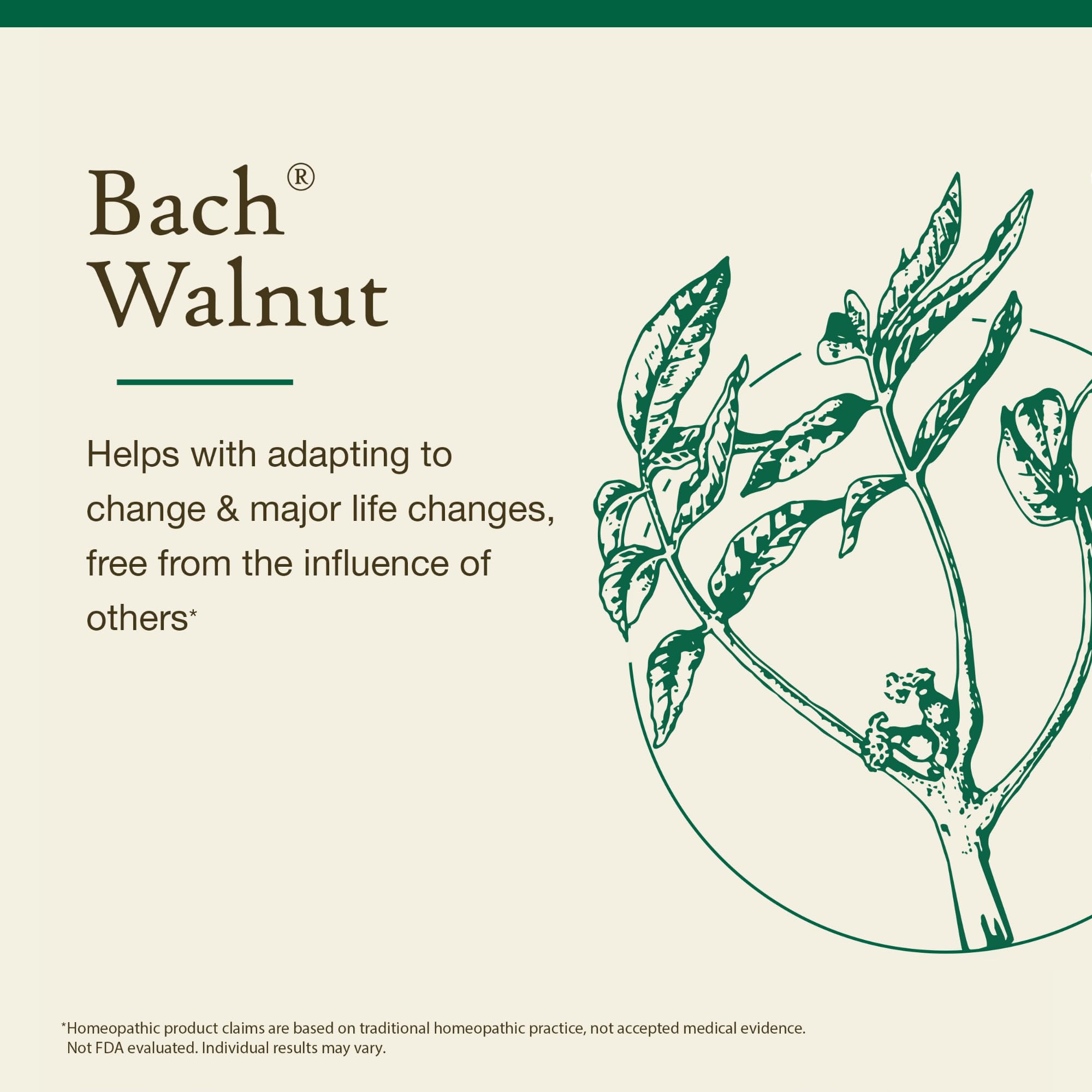Assortment of Bach Flower Remedies including Walnut