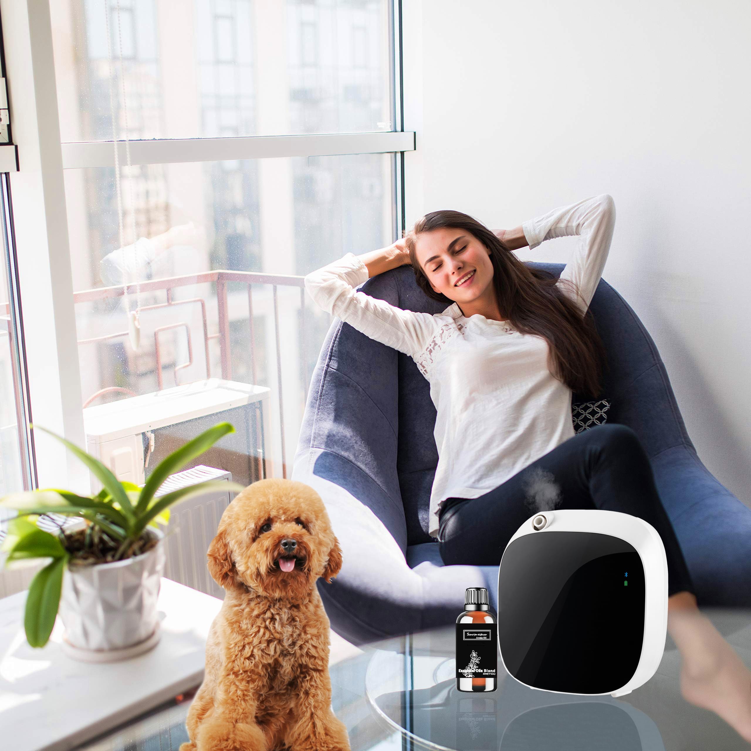 Gift-ready packaging of Wandering Breeze essential oil