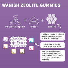Wanish gummy held in hand showing size for adults and children, easy dosing