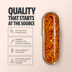 Water-extracted cordyceps for enhanced vitality
