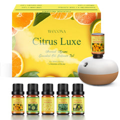 Rechargeable waterless diffuser with two mist modes