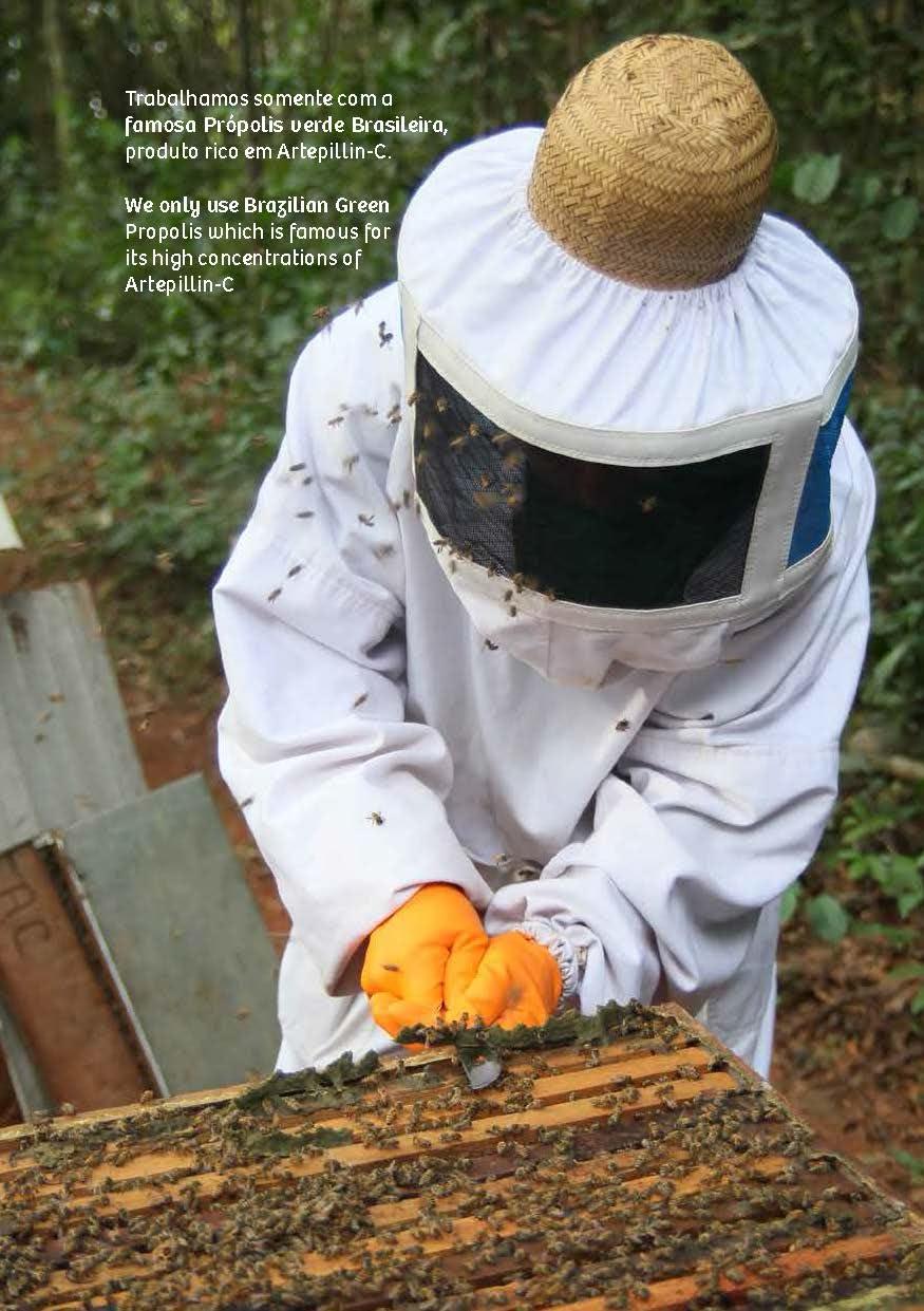 Wax Green Brazil production facility and sustainability practices