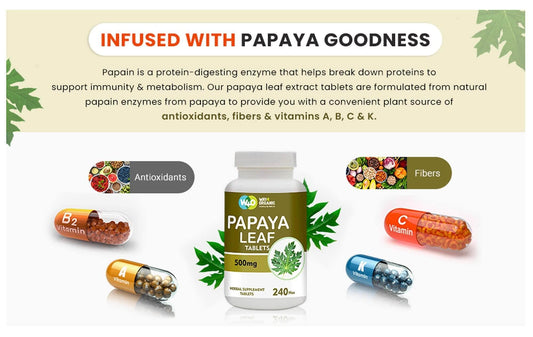 Papaya leaf extract capsules for digestion support