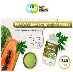 Papaya leaf extract capsules highlighting immunity benefits