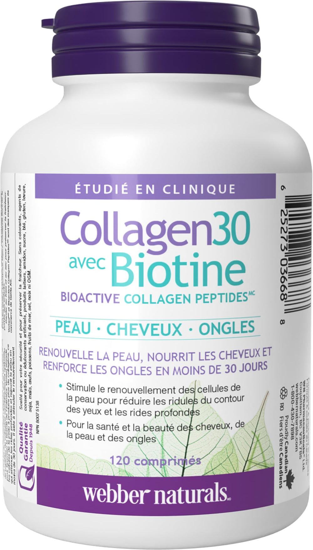 Verisol collagen peptides representation of type I and III hydrolyzed collagen
